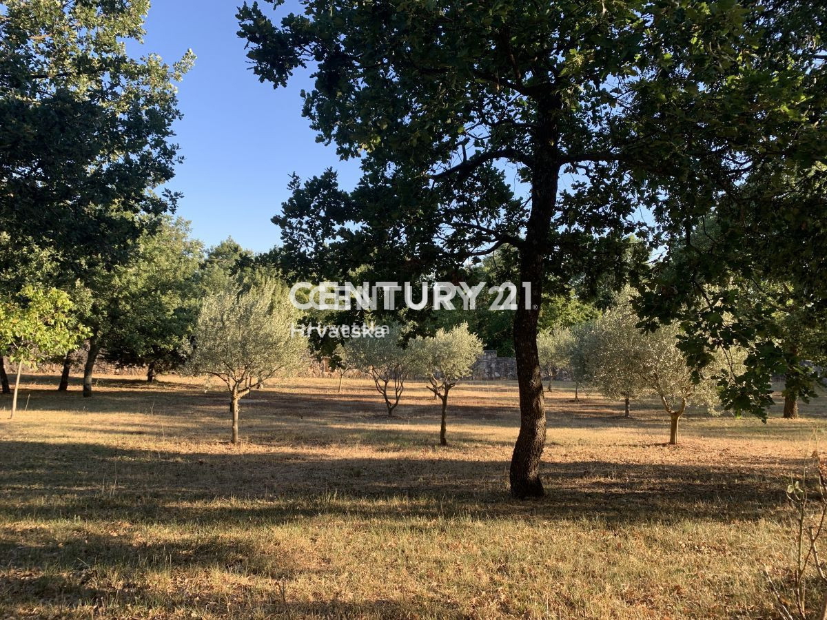 Vendita, Casa, Indipendente, Provincia di Istria, Sveti Lovreč