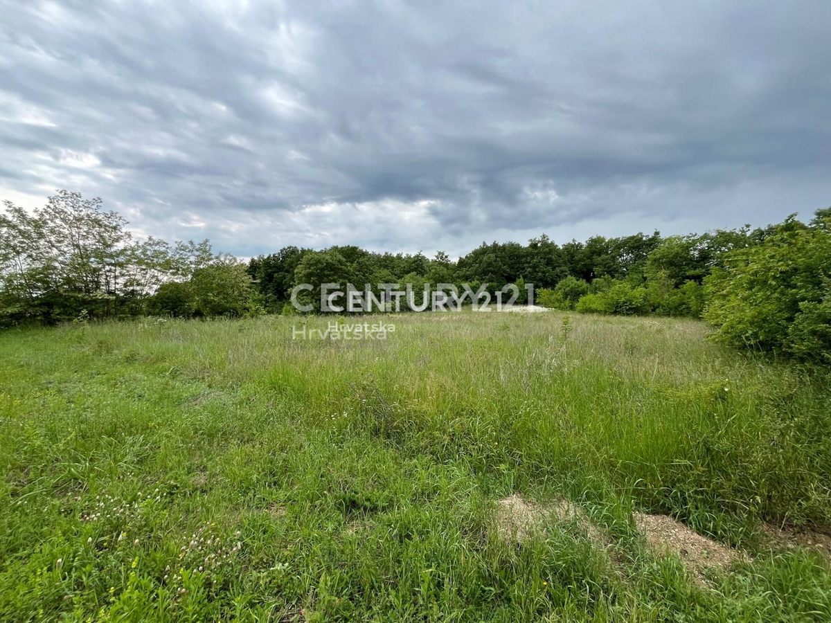 Vendita, Terreno, Edificabile, Provincia di Istria, Svetvinčenat