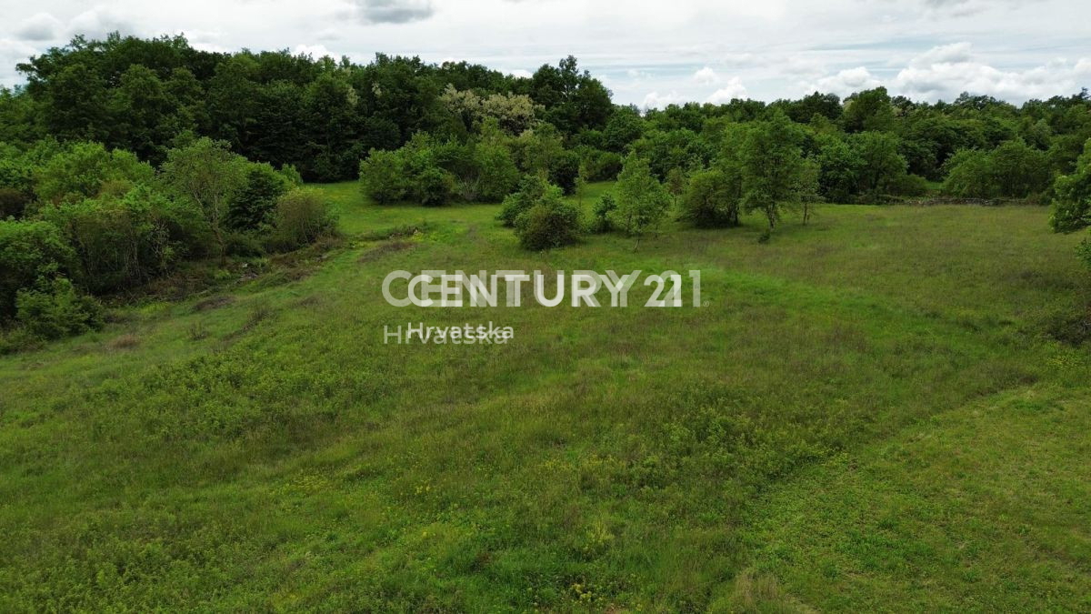 Vendita, Terreno, Edificabile, Istarska županija, Sveti Lovreč