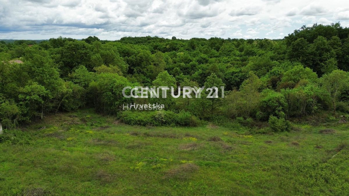 Vendita, Terreno, Edificabile, Istarska županija, Sveti Lovreč