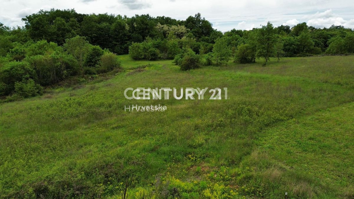 Vendita, Terreno, Edificabile, Istarska županija, Sveti Lovreč