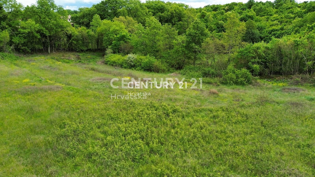 Vendita, Terreno, Edificabile, Istarska županija, Sveti Lovreč