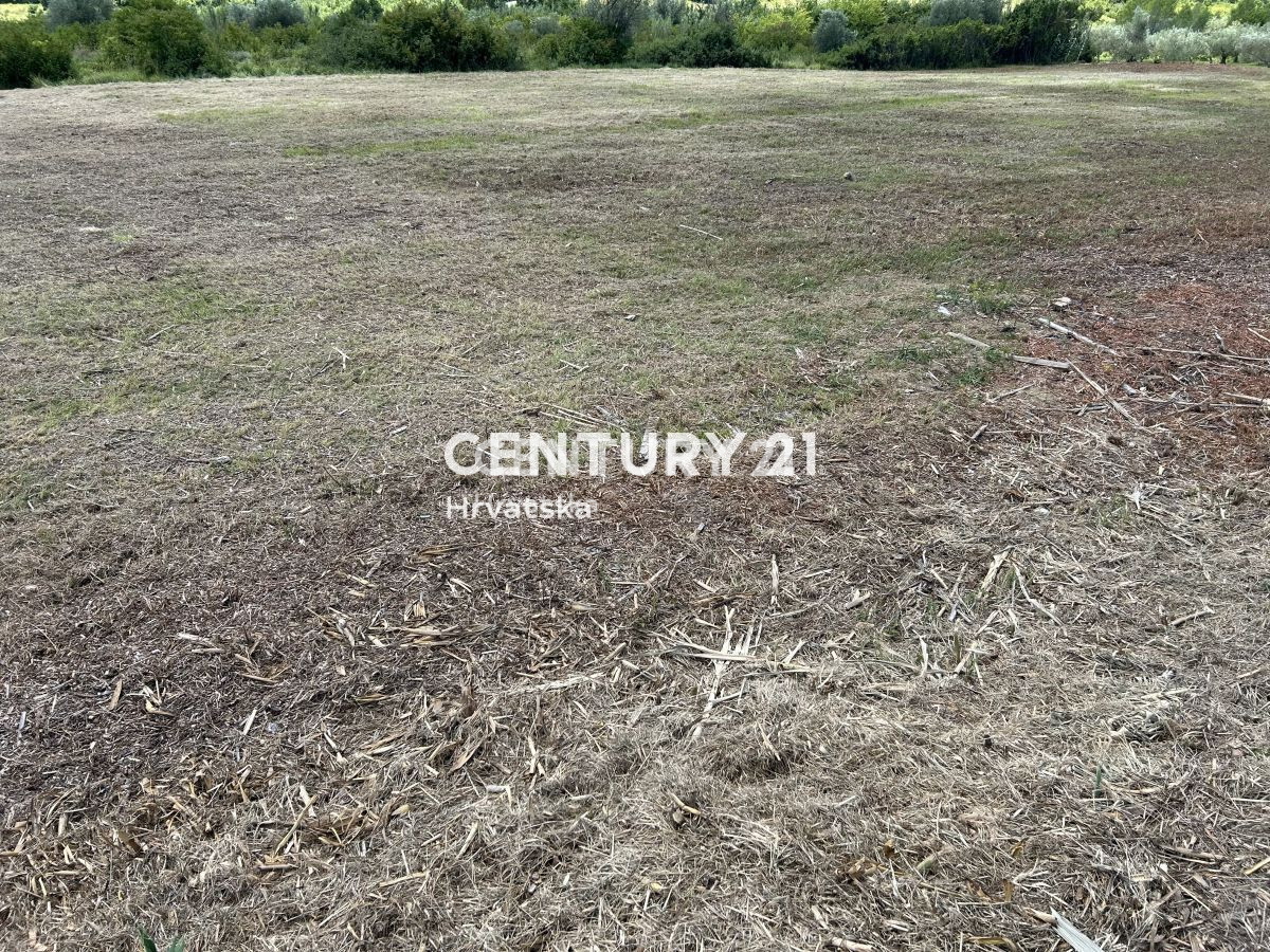 Vendita, Terreno, Edificabile, Provincia di Istria, Umag