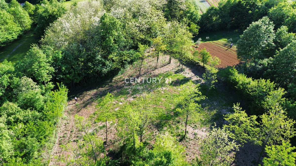 KRŠAN, TERRENO CON PERMESSO DI COSTRUZIONE