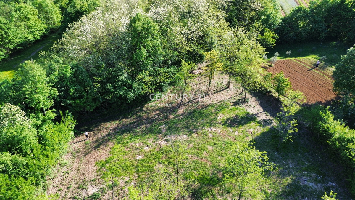 KRŠAN, TERRENO CON PERMESSO DI COSTRUZIONE