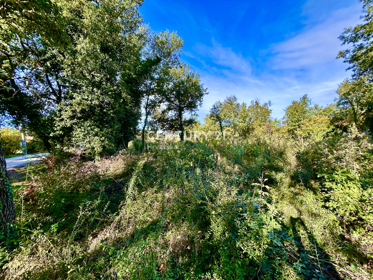 POREČ, PERIFERIA, TERRENO EDIFICABILE A SOLI 5 KM DAL CENTRO DI POREČ