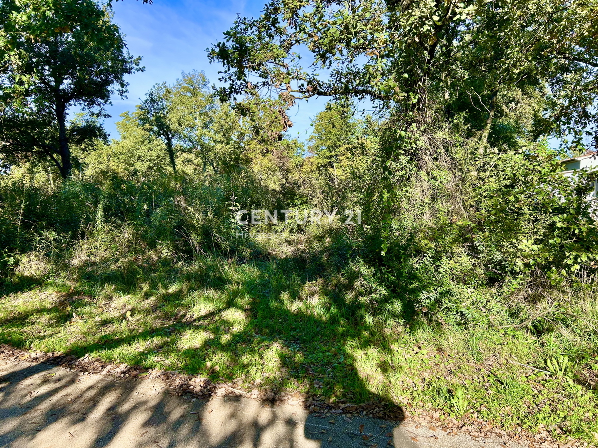 POREČ, PERIFERIA, TERRENO EDIFICABILE A SOLI 5 KM DAL CENTRO DI POREČ