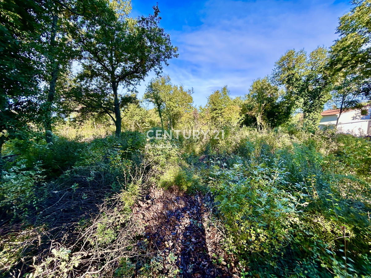 POREČ, PERIFERIA, TERRENO EDIFICABILE A SOLI 5 KM DAL CENTRO DI POREČ