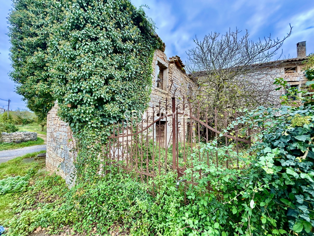 SVETI LOVREČ, DINTORNI, PROPRIETÀ AUTOCTONA ISTRIANA