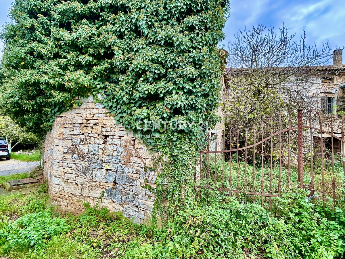 SVETI LOVREČ, DINTORNI, PROPRIETÀ AUTOCTONA ISTRIANA