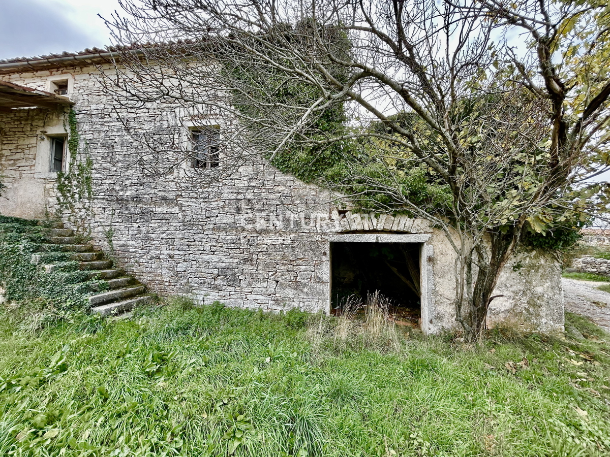 SVETI LOVREČ, DINTORNI, PROPRIETÀ AUTOCTONA ISTRIANA