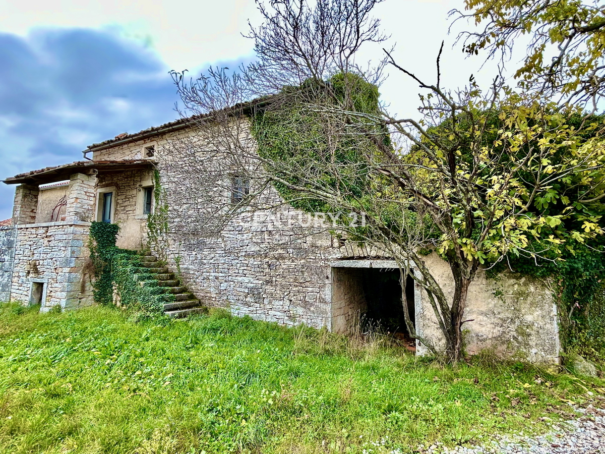 SVETI LOVREČ, DINTORNI, PROPRIETÀ AUTOCTONA ISTRIANA