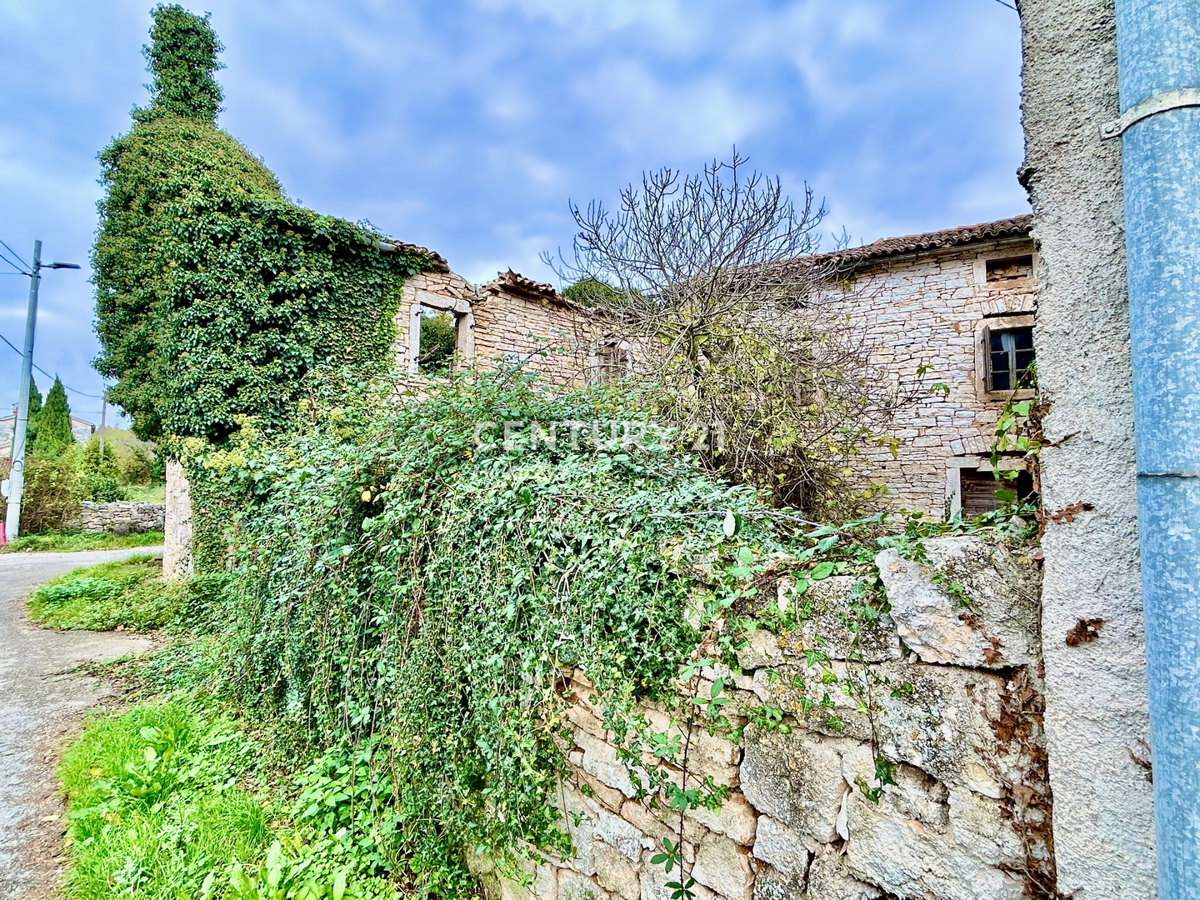 SVETI LOVREČ, DINTORNI, PROPRIETÀ AUTOCTONA ISTRIANA