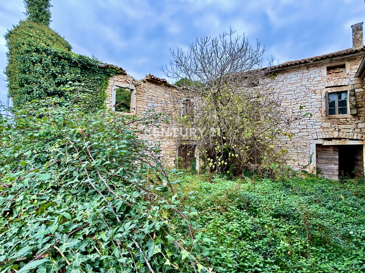 SVETI LOVREČ, DINTORNI, PROPRIETÀ AUTOCTONA ISTRIANA