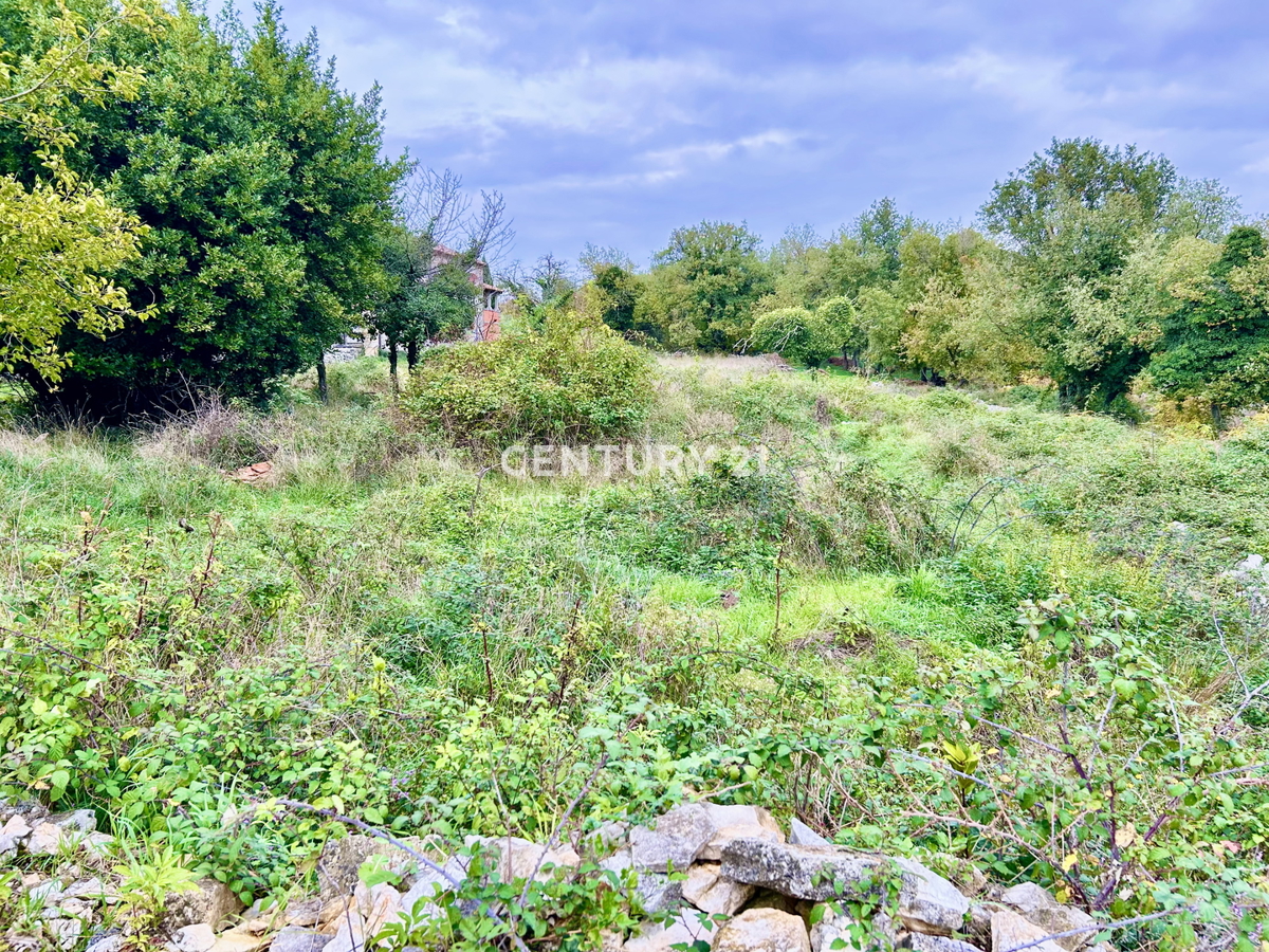 SVETI LOVREČ, DINTORNI, PROPRIETÀ AUTOCTONA ISTRIANA