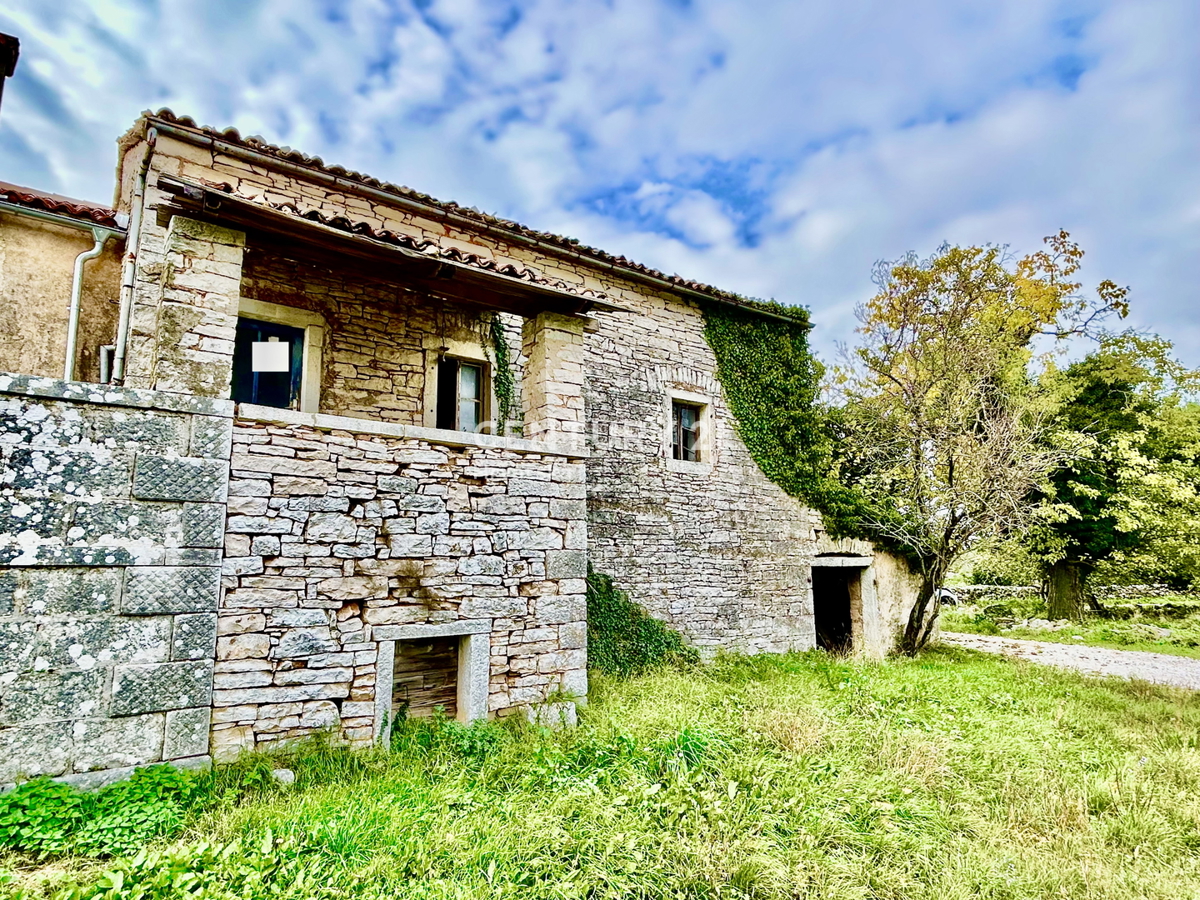 SVETI LOVREČ, DINTORNI, PROPRIETÀ AUTOCTONA ISTRIANA
