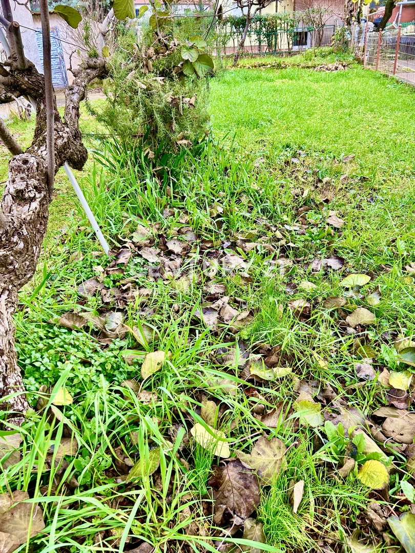 UMAG, CENTAR, APPARTAMENTO CON MOLTO POTENZIALE IN OTTIMA POSIZIONE.. OCCASIONE!