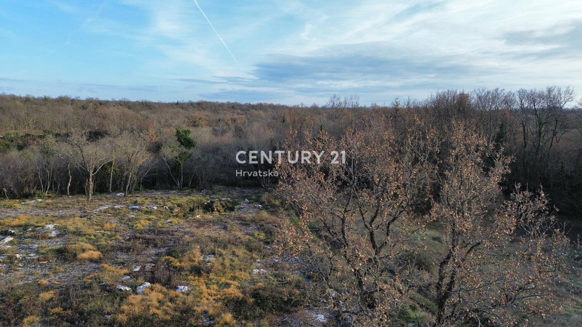 Porec, periferia, combinazione di terreno edificabile e agricolo in una posizione tranquilla