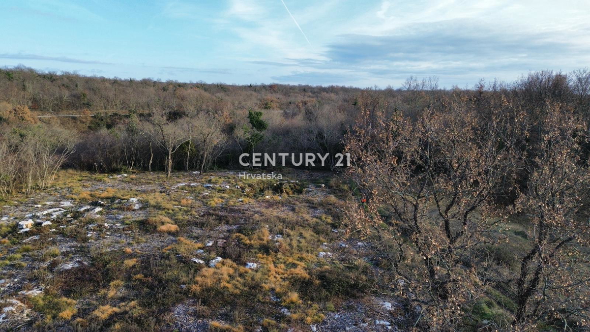 Porec, periferia, combinazione di terreno edificabile e agricolo in una posizione tranquilla