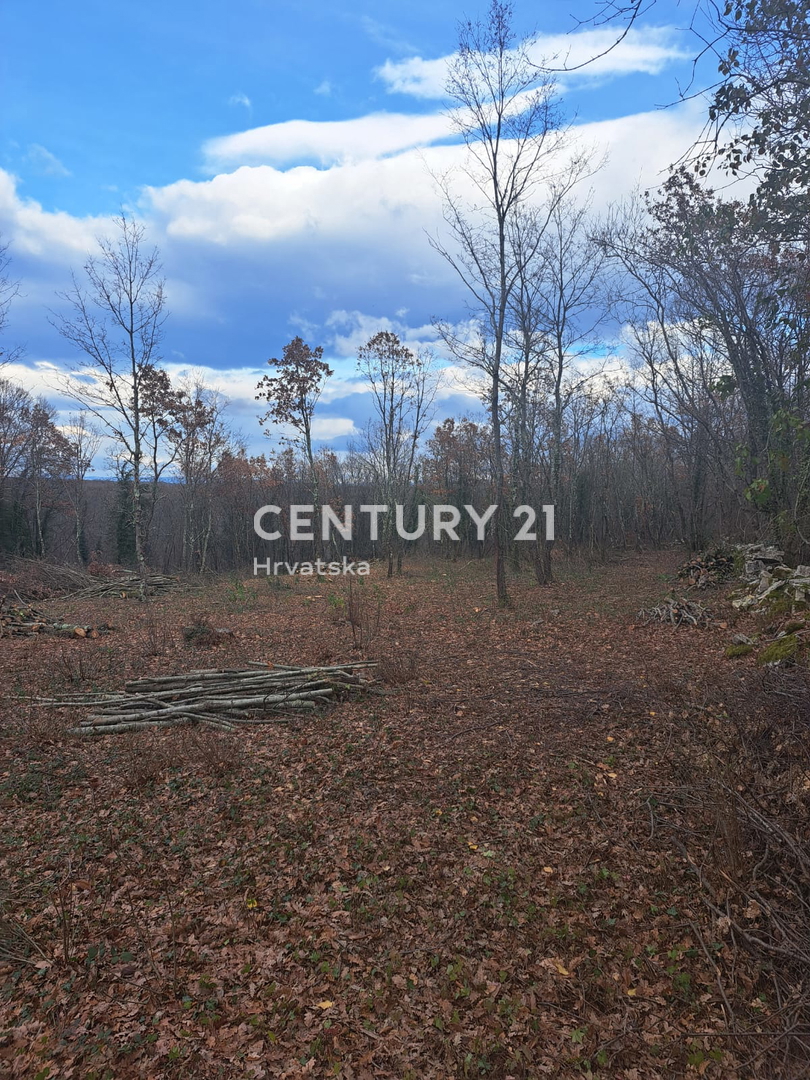 TINJAN, TERRENO EDIFICABILE IN VENDITA AL MARGINE DELL’URBANIZZAZIONE