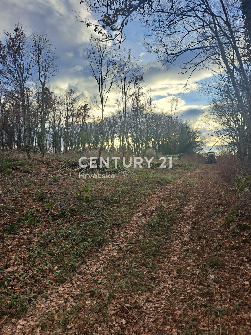 TINJAN, TERRENO EDIFICABILE IN VENDITA AL MARGINE DELL’URBANIZZAZIONE