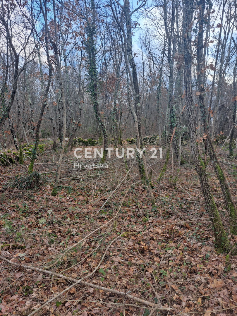 TINJAN, TERRENO EDIFICABILE IN VENDITA AL MARGINE DELL’URBANIZZAZIONE