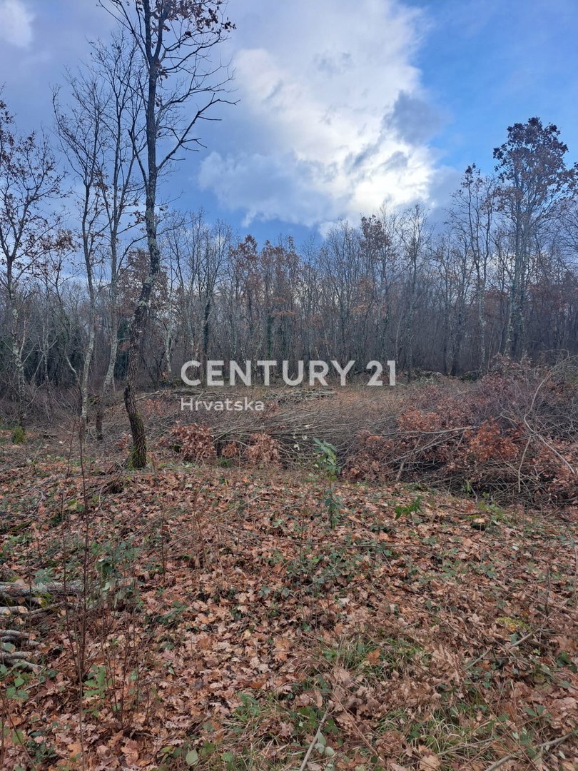 TINJAN, TERRENO EDIFICABILE IN VENDITA AL MARGINE DELL’URBANIZZAZIONE