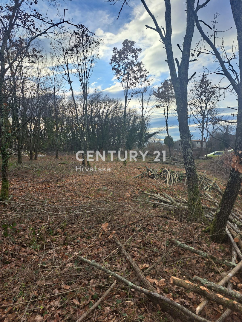 TINJAN, TERRENO EDIFICABILE IN VENDITA AL MARGINE DELL’URBANIZZAZIONE