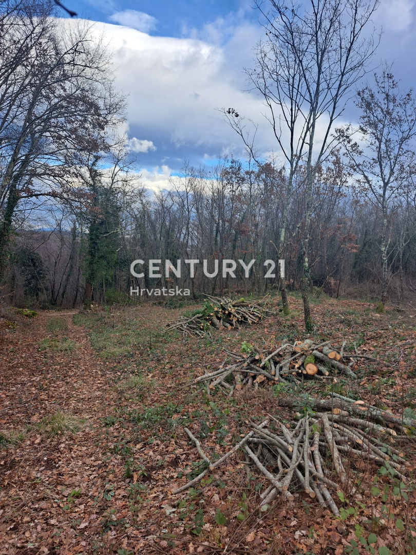 TINJAN, TERRENO EDIFICABILE IN VENDITA AL MARGINE DELL’URBANIZZAZIONE