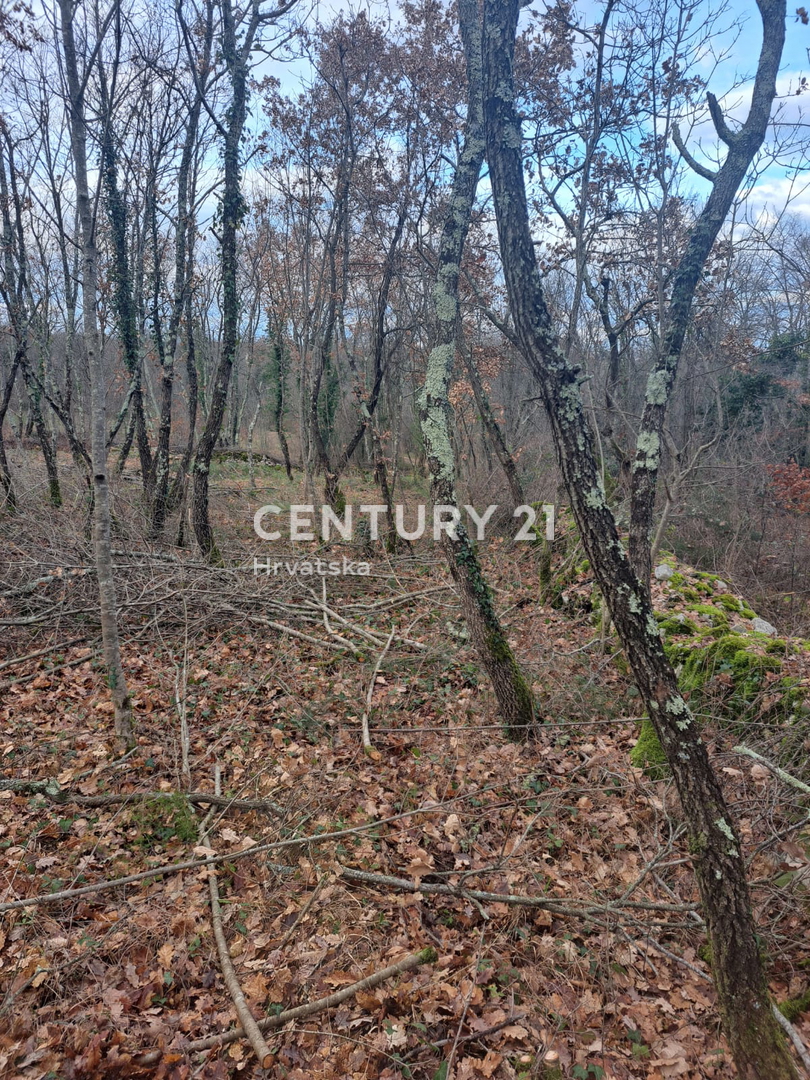 TINJAN, TERRENO EDIFICABILE IN VENDITA AL MARGINE DELL’URBANIZZAZIONE