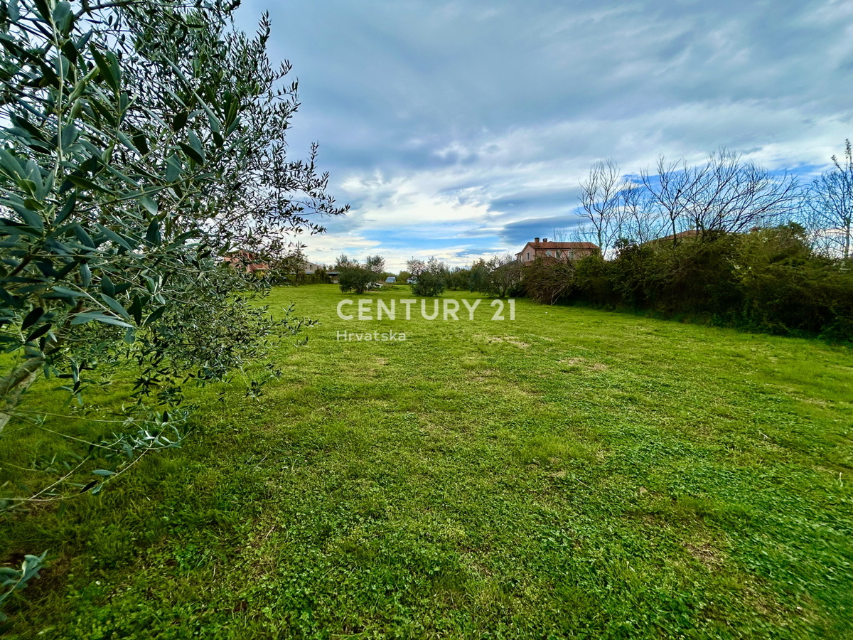 UMAG, TERRENO EDIFICABILE A SOLI 1,5 KM DAL MARE