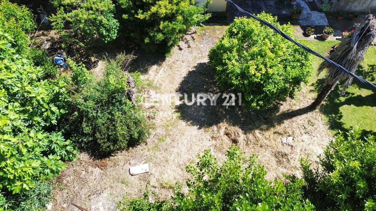 Vendita, Casa, Bifamiliare, Provincia di Istria, Novigrad