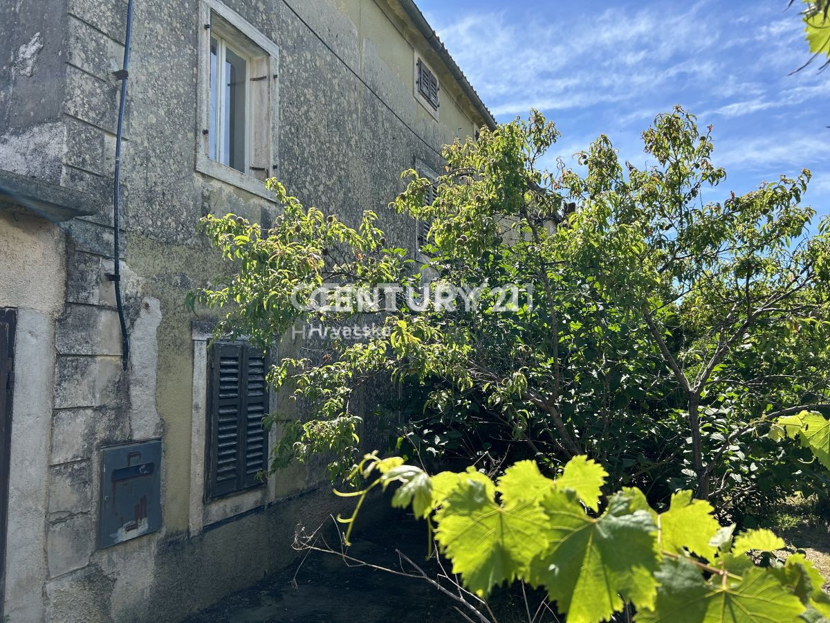 Vendita, Casa, Bifamiliare, Provincia di Istria, Novigrad