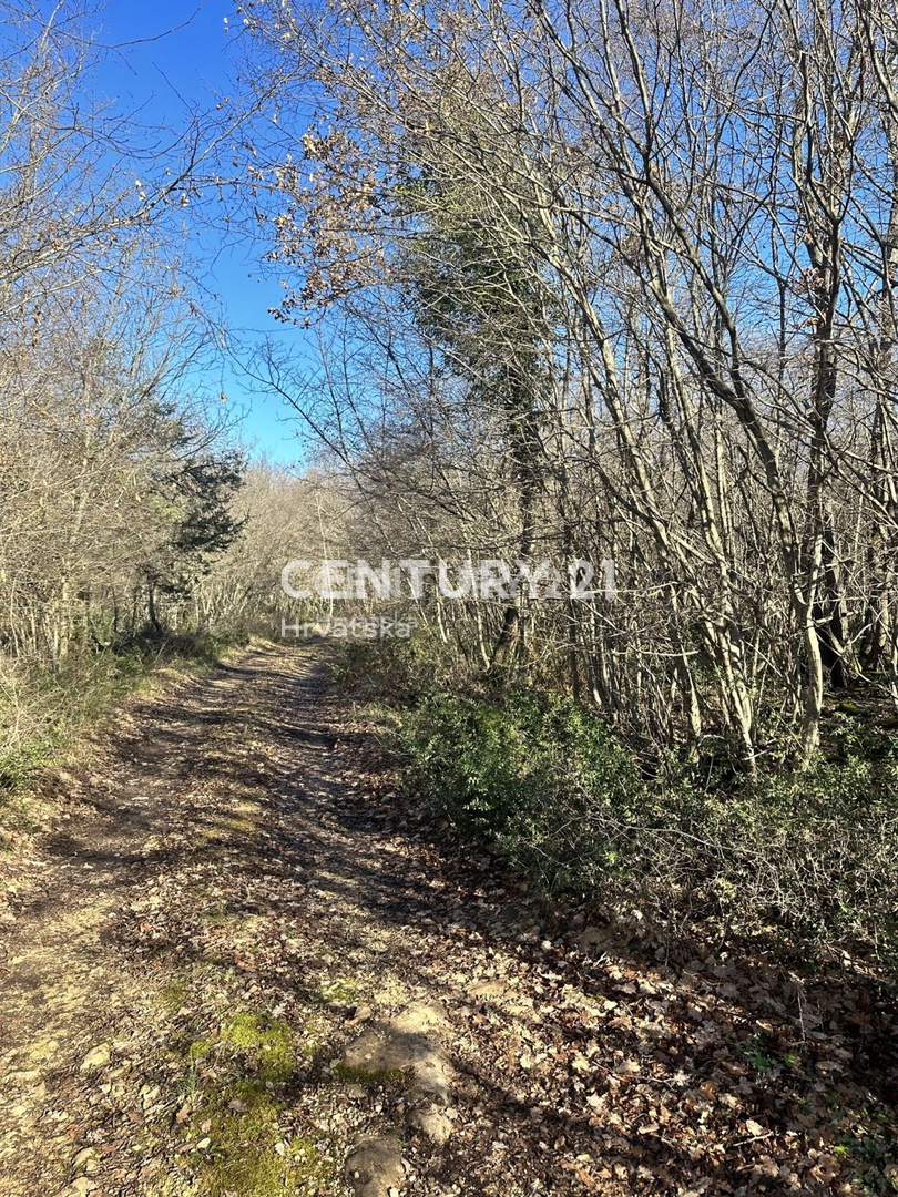 Vendita, Terreno, Edificabile, Provincia di Istria, Poreč, Baderna