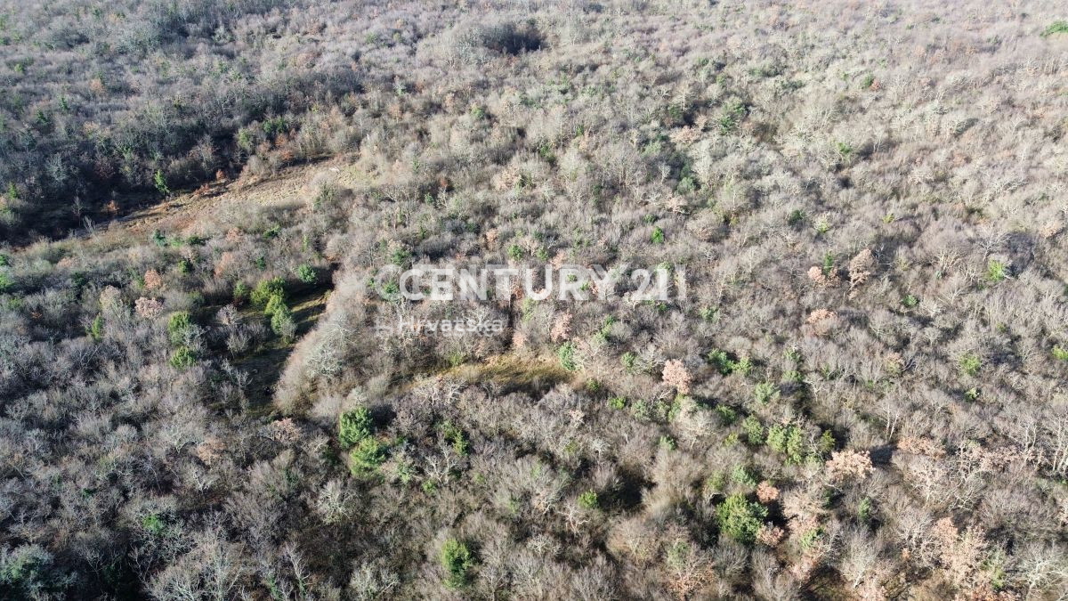 Vendita, Terreno, Edificabile, Provincia di Istria, Poreč, Baderna