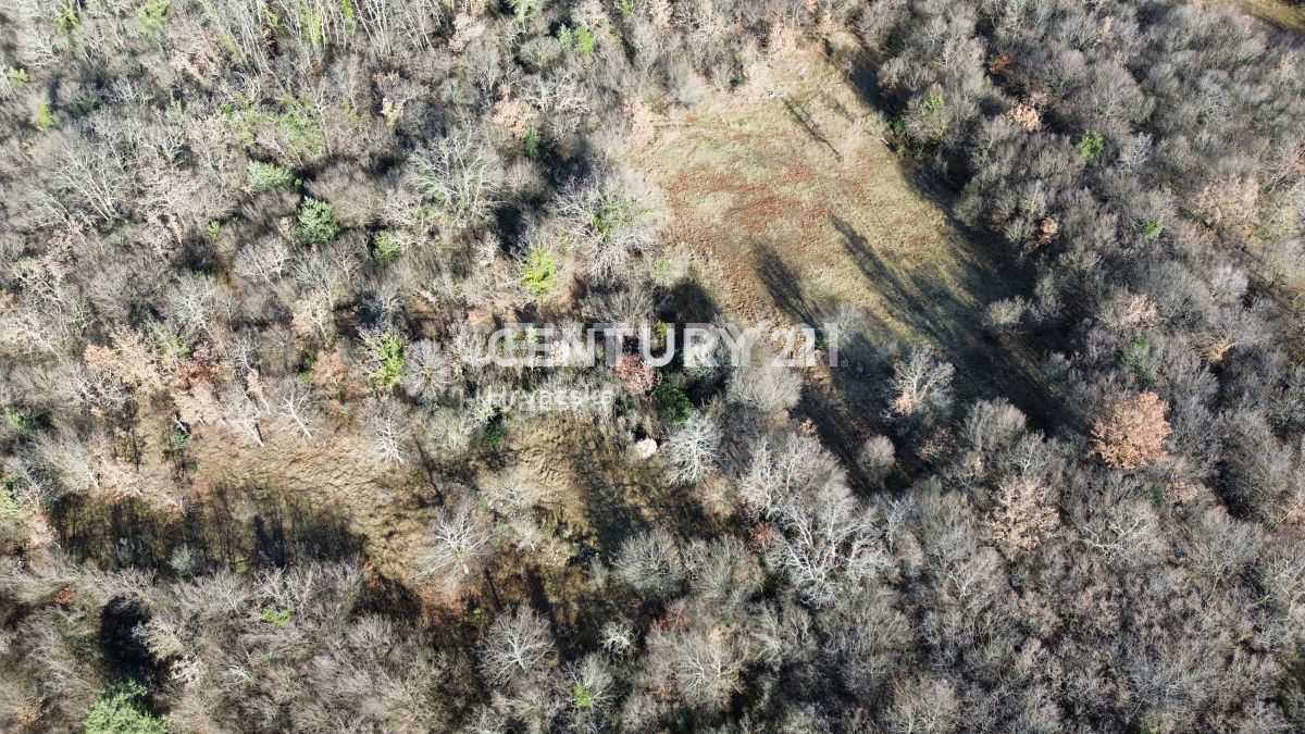 Vendita, Terreno, Edificabile, Provincia di Istria, Poreč, Baderna