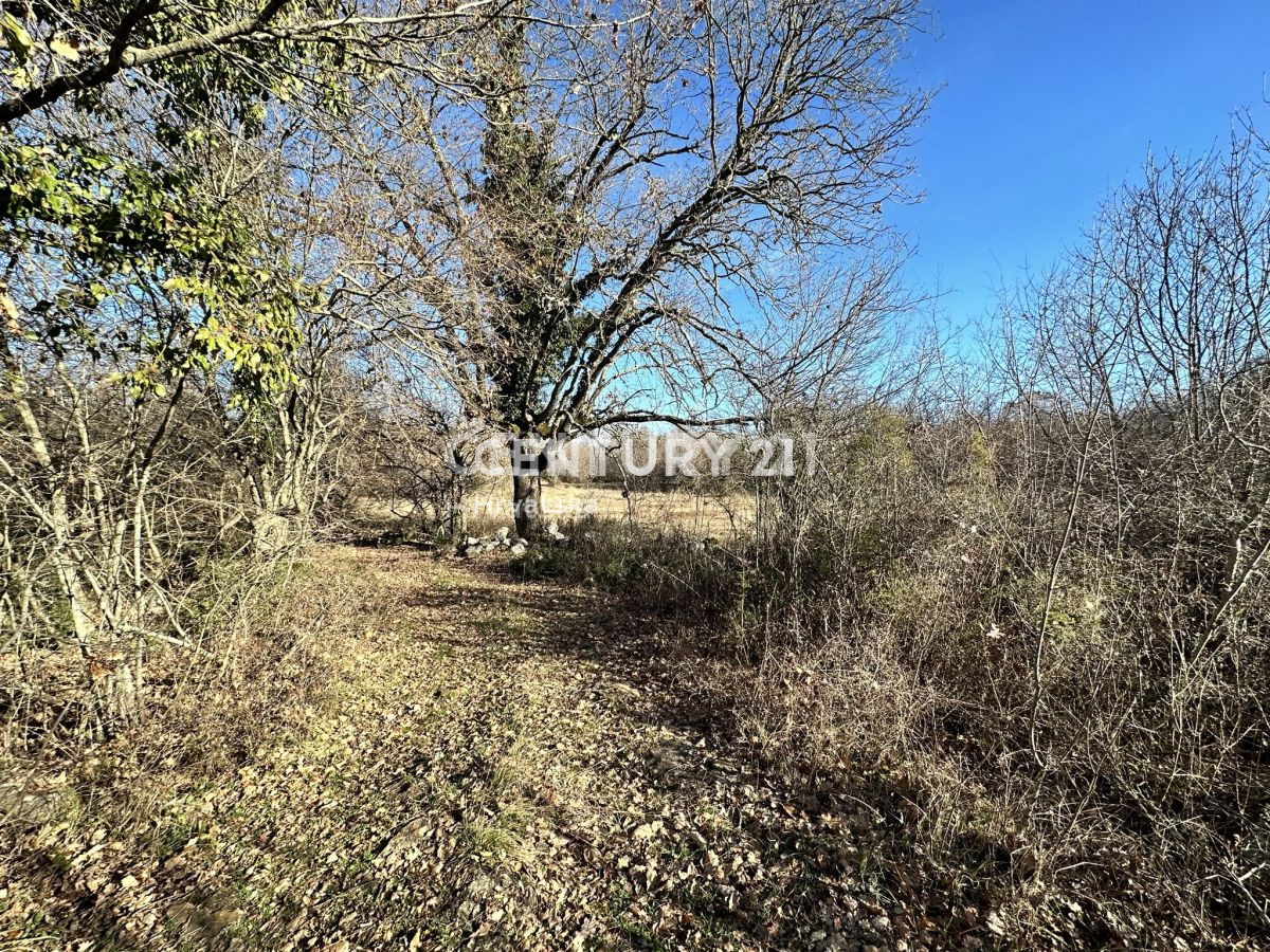 Vendita, Terreno, Edificabile, Provincia di Istria, Poreč, Baderna