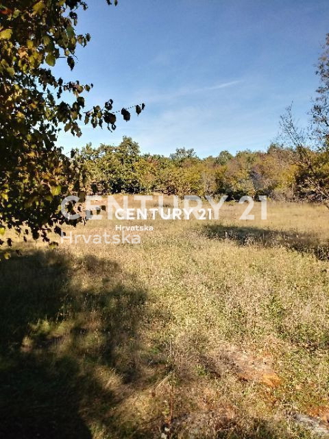 Vendita, Terreno, Edificabile, Provincia di Istria, Poreč, Baderna