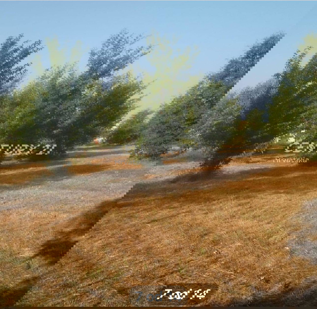 VENDITA TERRENO EDIFICABILE