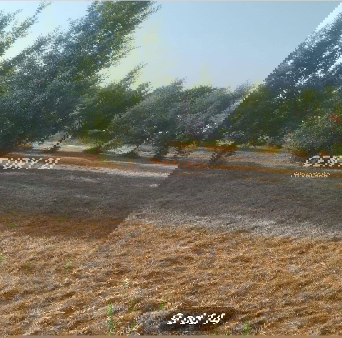 VENDITA TERRENO EDIFICABILE