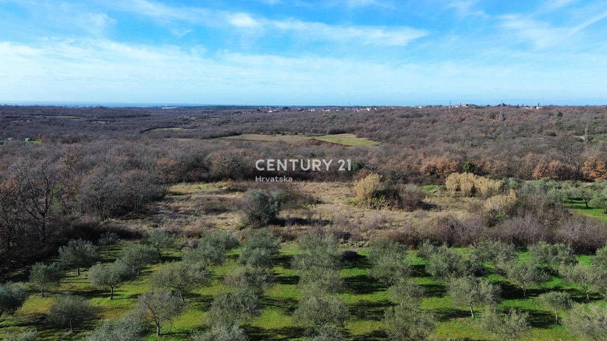 UMAG, DINTORNI, TERRENO EDIFICABILE CON MOLTO POTENZIALE