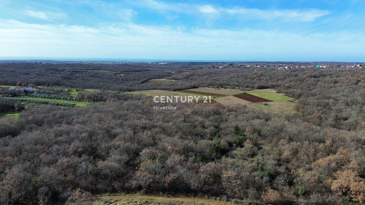 UMAG, DINTORNI, TERRENO EDIFICABILE CON MOLTO POTENZIALE