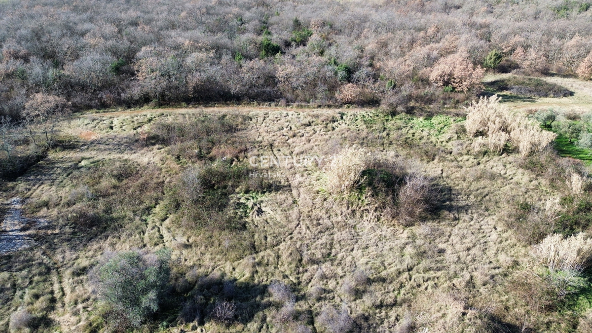 UMAG, DINTORNI, TERRENO EDIFICABILE CON MOLTO POTENZIALE