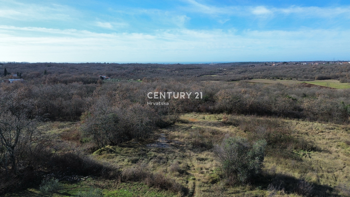 UMAG, DINTORNI, TERRENO EDIFICABILE CON MOLTO POTENZIALE