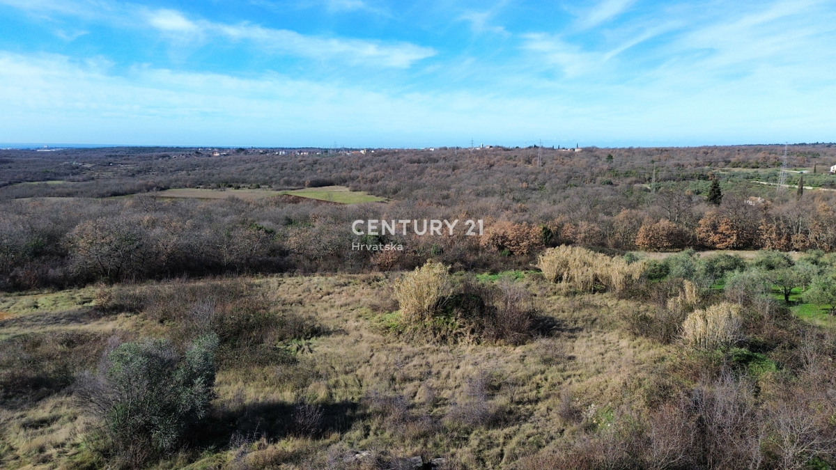 UMAG, DINTORNI, TERRENO EDIFICABILE CON MOLTO POTENZIALE