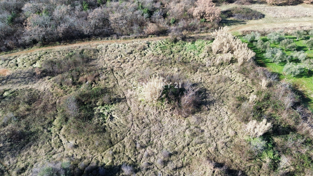 UMAG, DINTORNI, TERRENO EDIFICABILE CON MOLTO POTENZIALE