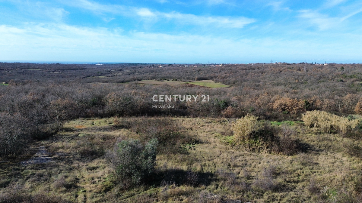 UMAG, DINTORNI, TERRENO EDIFICABILE CON MOLTO POTENZIALE