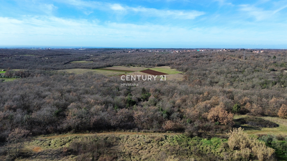 UMAG, DINTORNI, TERRENO EDIFICABILE CON MOLTO POTENZIALE