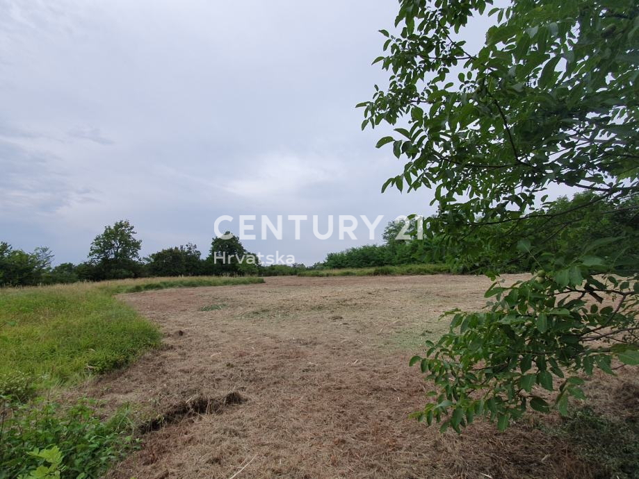 BRTONIGLA, VENDESI TERRENO EDIFICABILE CON PERMESSO DI COSTRUIRE PER UNA SPLENDIDA VILLA, VISTA MARE