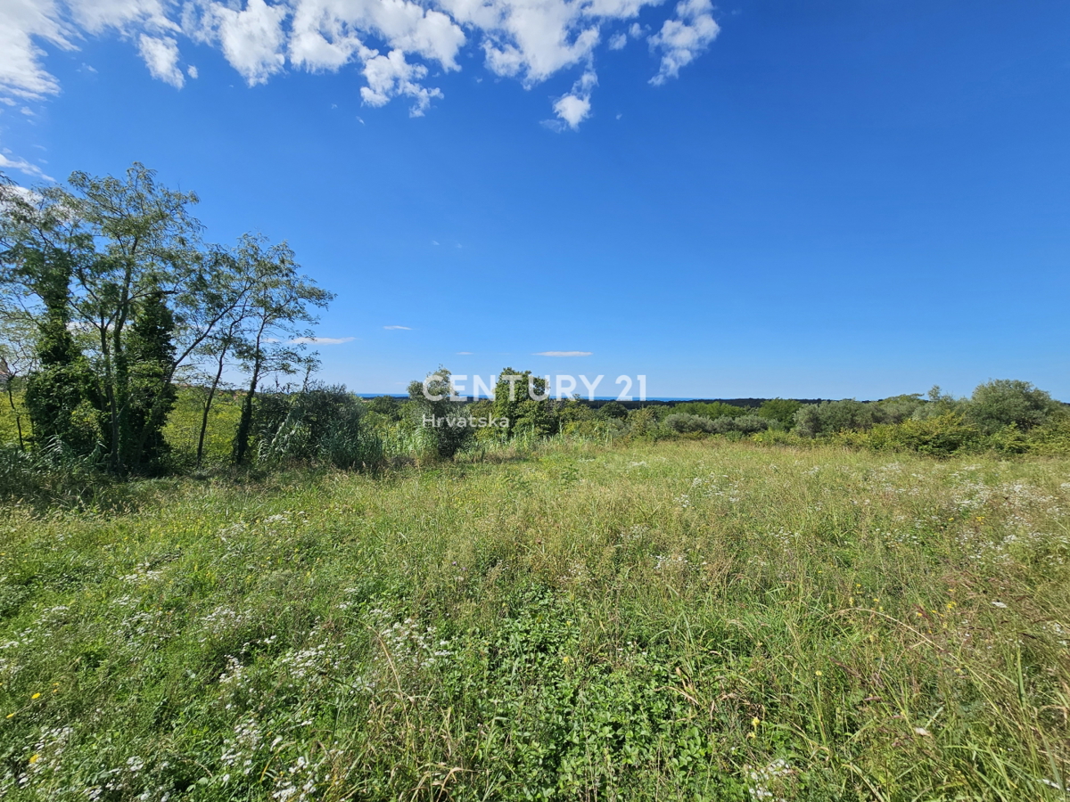 BRTONIGLA, VENDESI TERRENO EDIFICABILE CON PERMESSO DI COSTRUIRE PER UNA SPLENDIDA VILLA, VISTA MARE